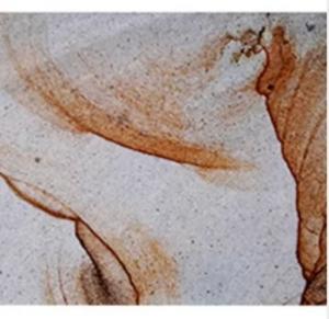 Batu Andesit Dinding Tahan Cuaca Unggulan Demak